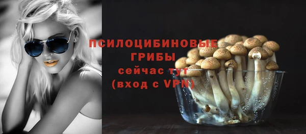 кокс Баксан