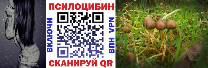 Галлюциногенные грибы Psilocybine cubensis Новоуральск