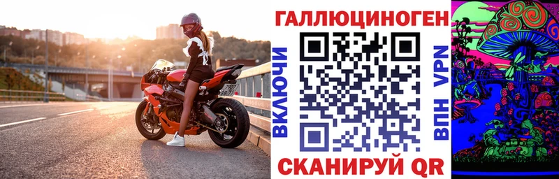 купить  сайты  Новоуральск  Галлюциногенные грибы Cubensis 